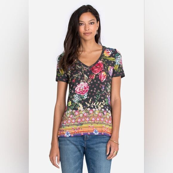 NWT Johnny Was Naomi Favorite Boarder V Neck Tee Multi Color - Picture 2 of 7